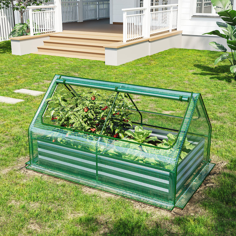 72.4" X 37.4" X35.8" Small Greenhouse