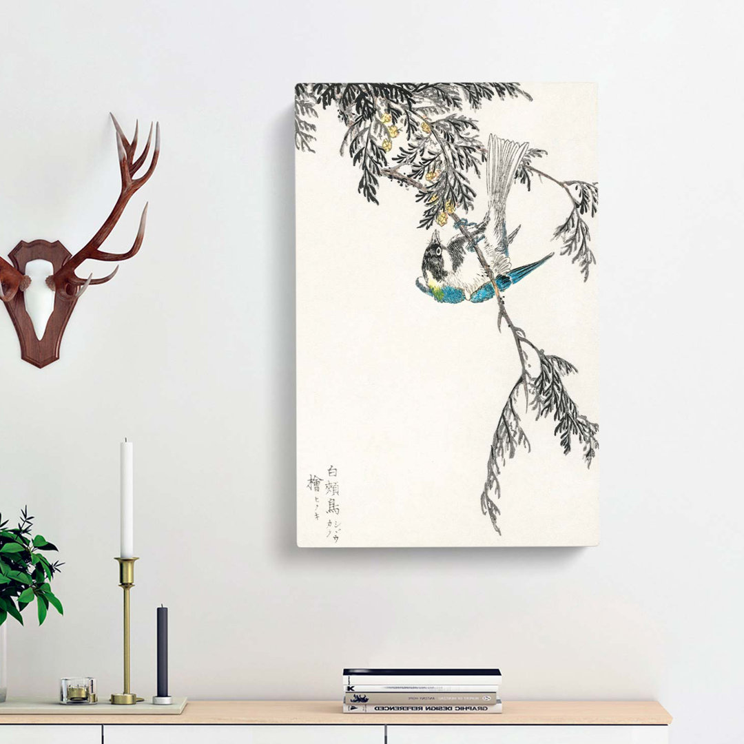 Great Tit Bird on a Cypress Tree by Numata Kashu - Wrapped Canvas