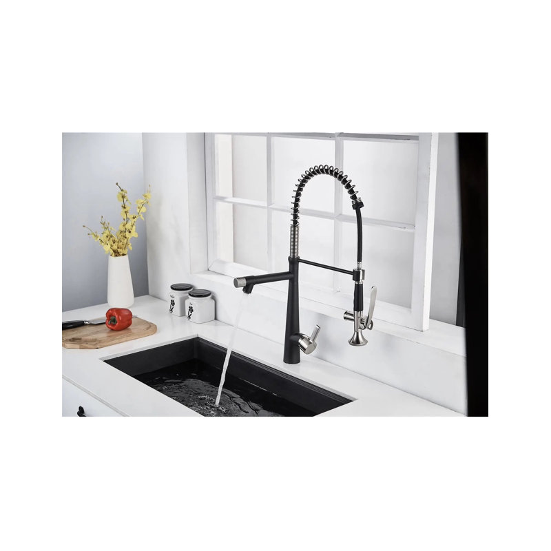 AvaMalis Pull Down Kitchen Faucet