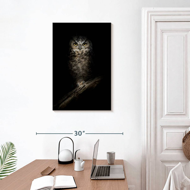Brampt Wise Night Owl, 30" H x 20" W