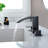 Widespread 2-handle Bathroom Faucet with Drain Assembly-73819511