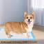 Tapis pour chien (ensemble de 50)