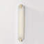 Brant 1 Light Wall Sconce