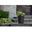Valencia Planter-1610035897-1610035898