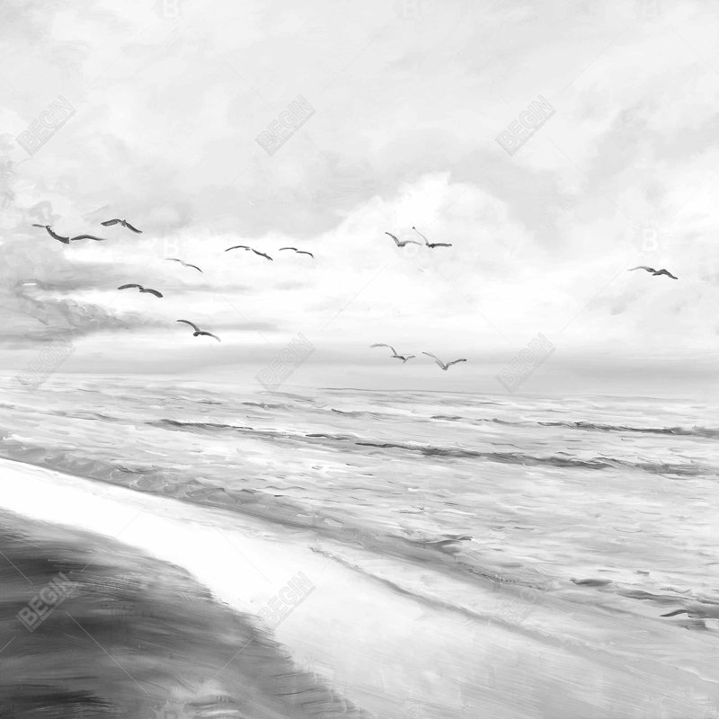 " Monochrome Tropical Sunset "