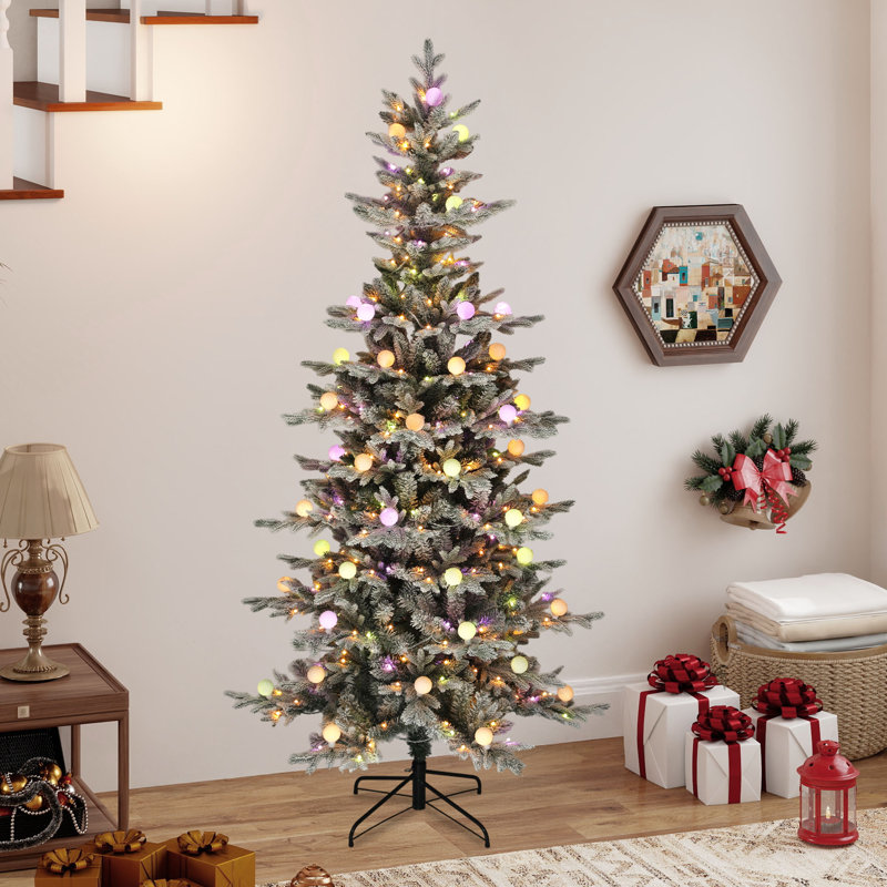 Arbre de Noël 6 pi Fraser, 6'