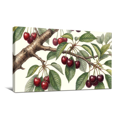 Plantes et fleurs branche de cerisier avec feuilles et fruits