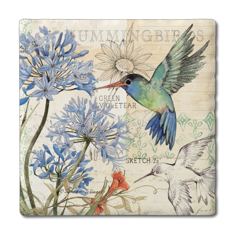 Ensemble de 4 sous-verres Hummingbird Study