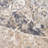 Maddyx Oriental Indoor Rug-1391383124