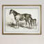 « équin sketch viii », impression-28042135-28042322-28042328