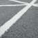 Palmea Geometric Area Rug
