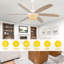 Ventilateur de plafond 65 po Boho