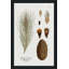 Pin botanique - Peinture-595111416-595111409