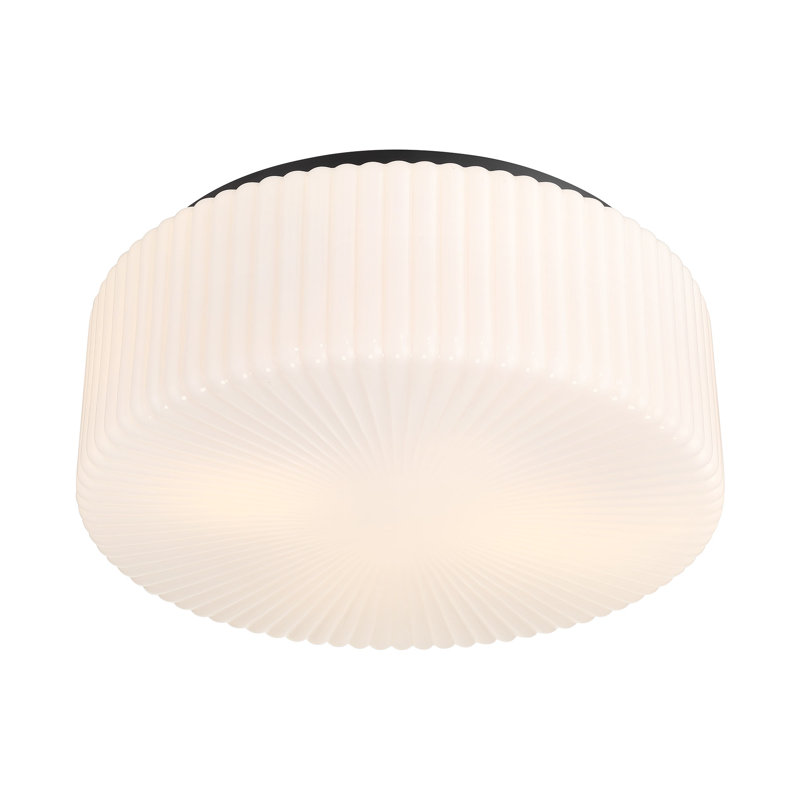 Edgemont 4-Light Ceiling Light in Matte Black, Matte Black