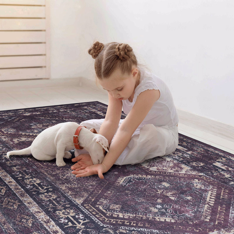 Washable Function Rug 5' X 8' Area Rug, Rectangle 8' x 5'