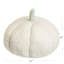 Coussin Pumpkin-102251951