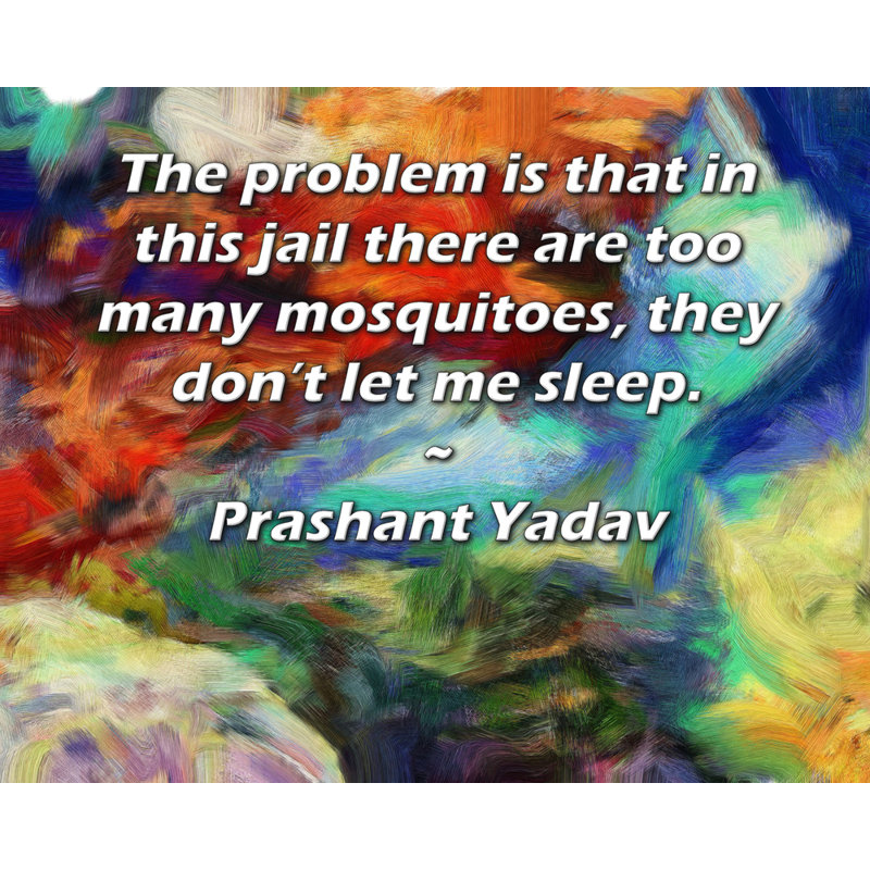 Toile tendue de la galerie ArtsyQuotes par Prashant Yadav: «Le problème est que dans cette prison il y a trop de moustiques, ils ne me laissent pas dormir.»