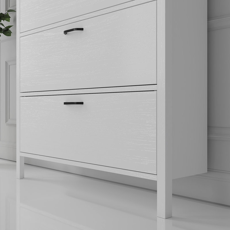 Baneen 8 Pair Shoe Storage Cabinet