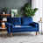 Blue Velvet