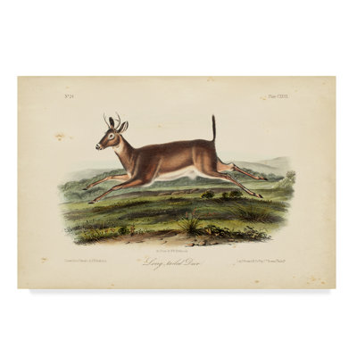 Modern & Contemporary Painting Print