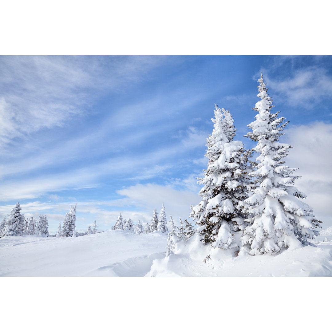 Winterwald von KenCanning - Druck auf Leinwand ohne Rahmen