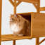 Enceinte pour chat d'extérieur avec toit de 72 po de hauteur pour chat Catio