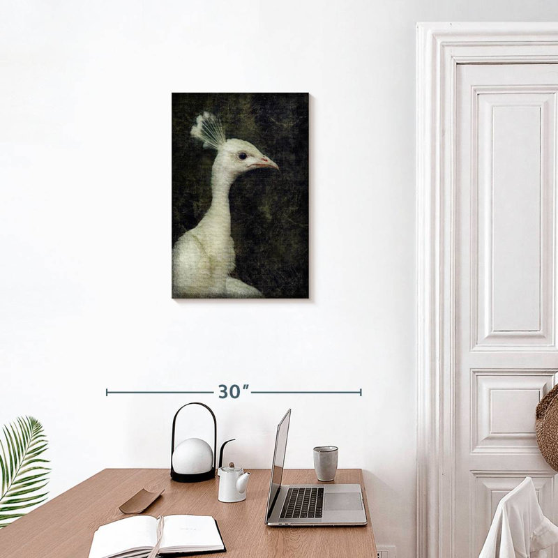 Paon blanc Brampt, H 24 po x l 16 po