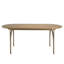 Arpita Poplar Oval Wood Top Dining Table with Iron Base-1305124996