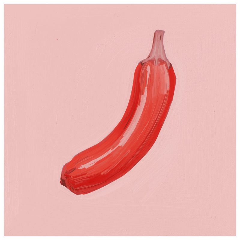 Red Banana Illustration Comforter, Twin