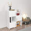 Anna 3 -Door 2 -Shelf Storage Cabinet