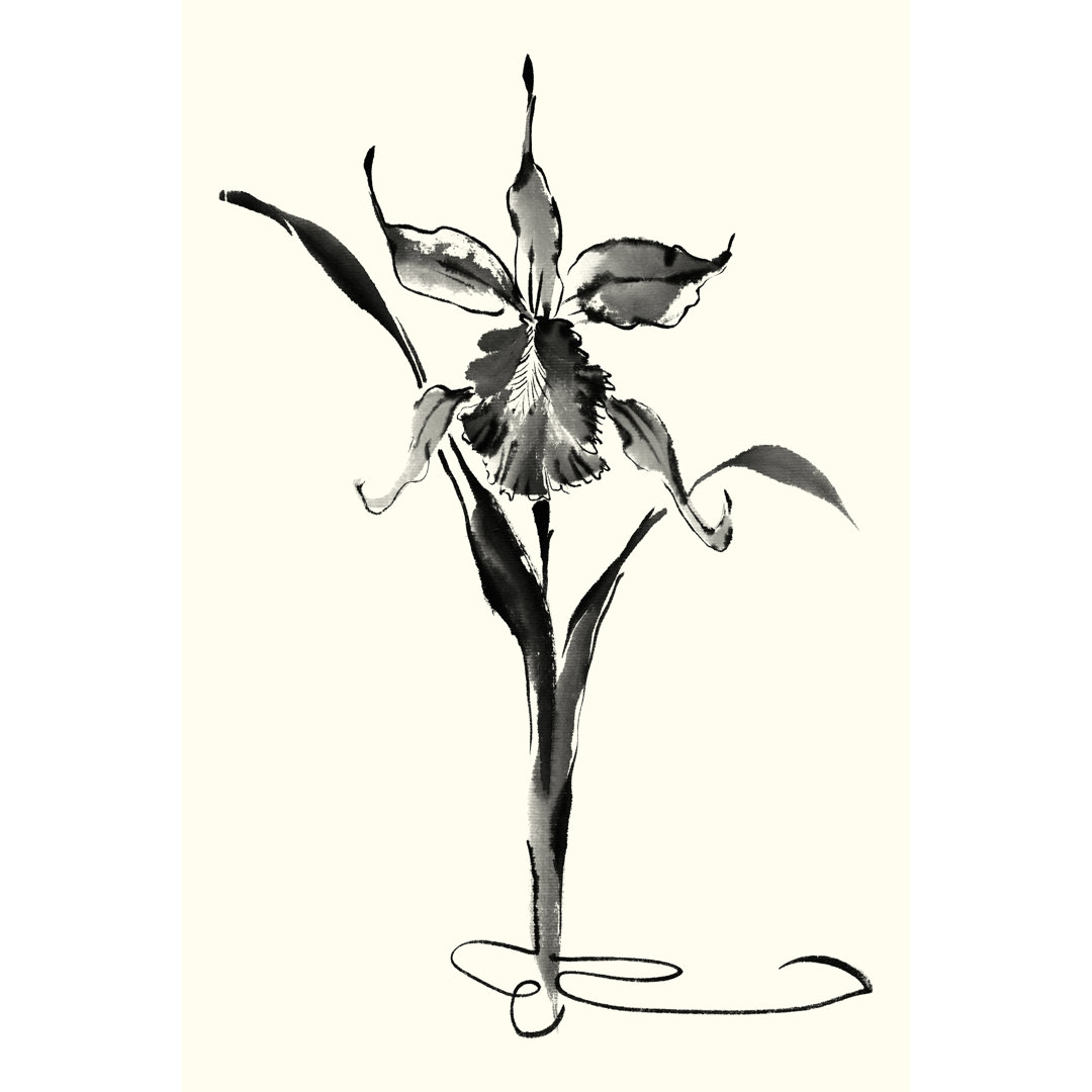 Leinwandbild Studies in Ink - Cattleya von Nan Rae