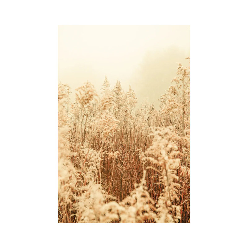 Nordic Winter I - Wrapped Canvas Print, 66.04 cm H x 45.72 cm W x 3.175 cm D