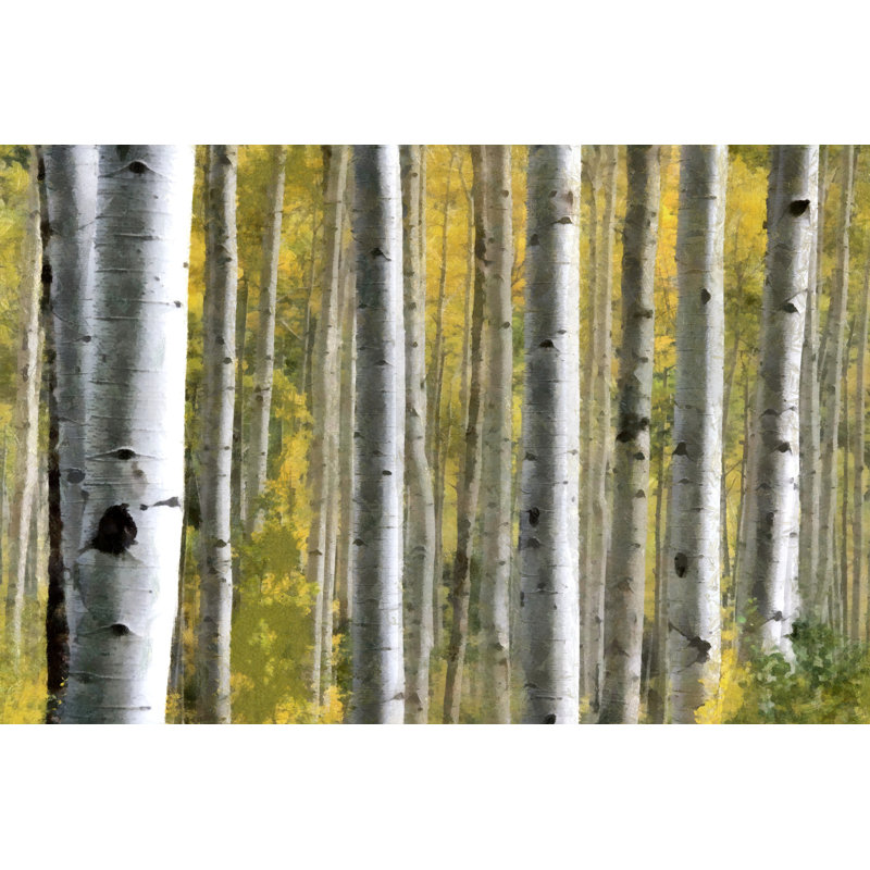 Painterly Birch - Wrapped Canvas Painting, 51cm H x 76cm W x 3.8cm D