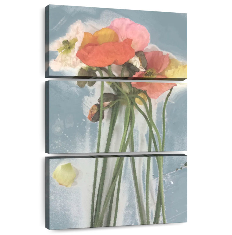 Harnek Poppy Spray I, H 50 po x l 32 po