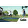 Salta Royal Baseground 251cm