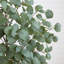 Faux eucalyptus 72 po en pot
