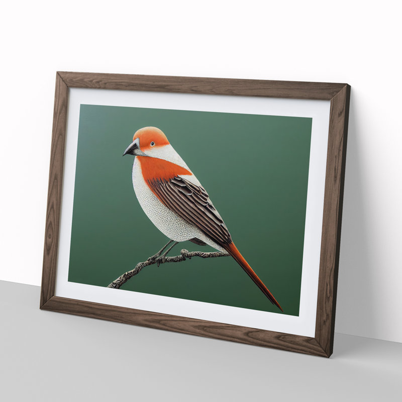 Engaging Bird - Single Picture Frame Print, 25cm H x 34cm W x 2cm D, Walnut Framed