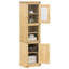 Bathroom Cabinet