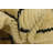 Julian Ivory Rug