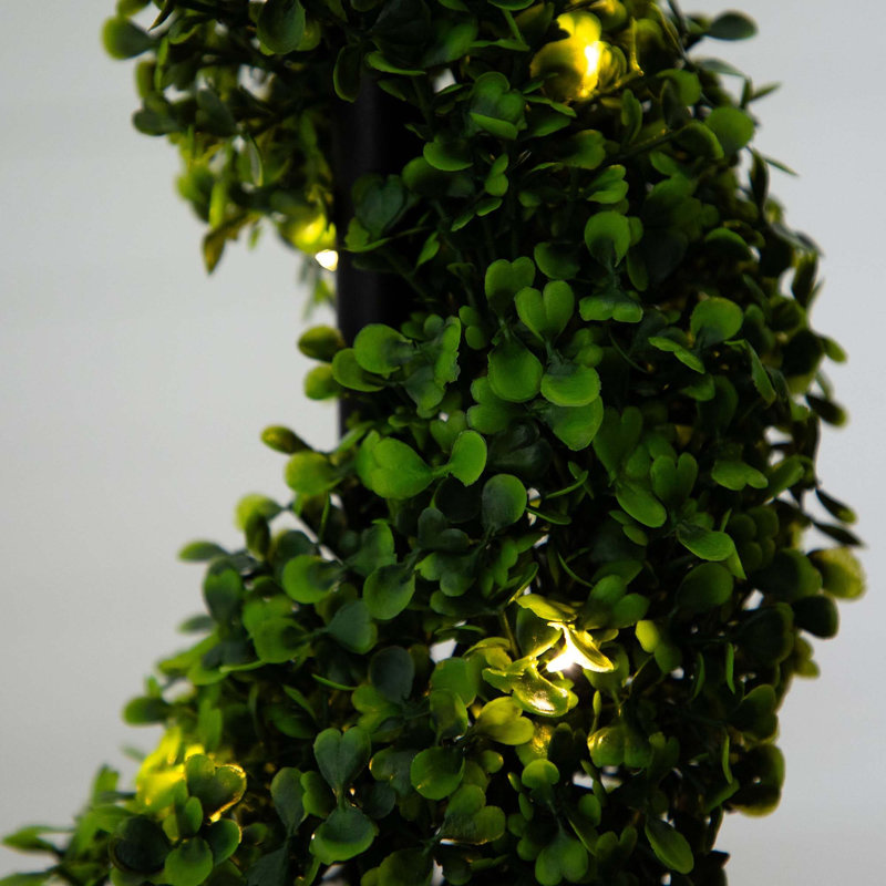 45 plantes