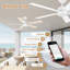 Ventilateur de plafond moderne à 5 pales avec lumières, télécommande et contrôle Alexa, moteur à courant continu silencieux, à intensité variable, intérieur extérieur-1393436457-1393436463