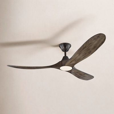 Ceiling Fan with LED Lights