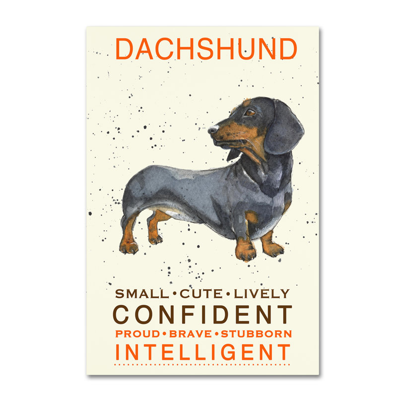 «Dachshund Print», reproduction d'impression sur toile tendue, H 32 po x l 22 po