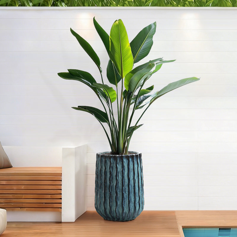 Grand pot à fleurs 16,8 po en céramique émaillée bleue, grand pot décoratif bicolore pour plantes