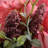 19" Rose Bundle-110235532