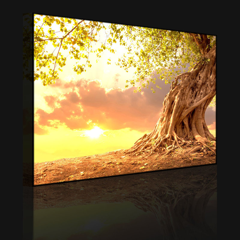 Rooted Strong Tree At Sunset by No - Wrapped Canvas Print, Without lighting, 60cm H x 80cm W x 4.5cm D