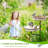 Greth Metal Birdbath-1717548335