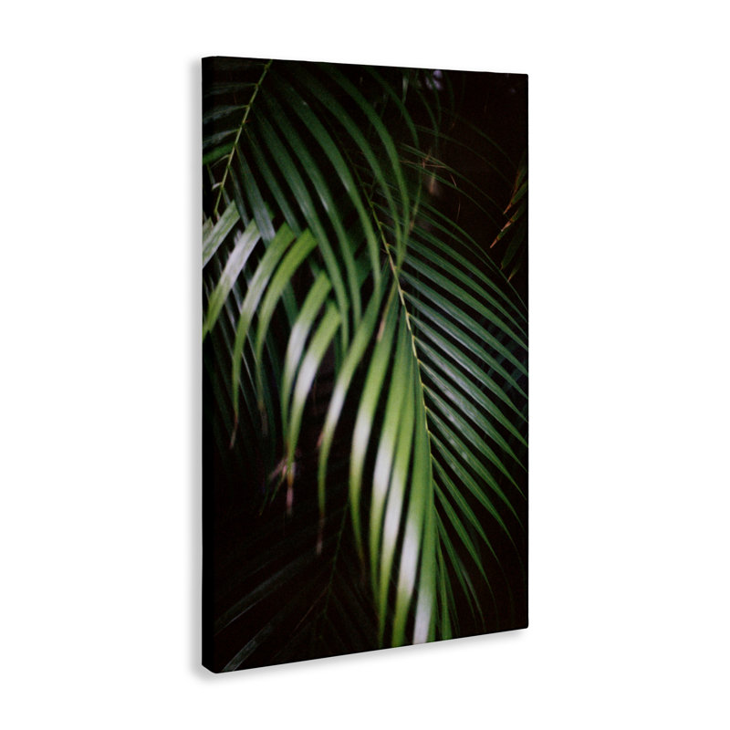 «Palm Leaves Weaving Together Canvas», conception de Jade Sharp Photo, H 30 po x l 20 po
