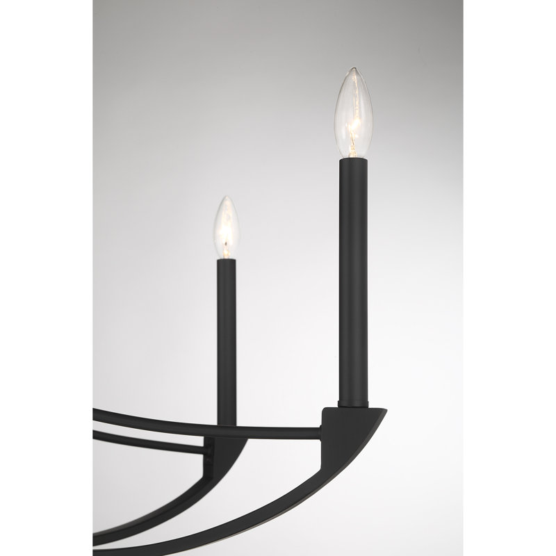 Preserve 8-Light Chandelier in Matte Black, Matte Black
