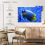 Angelfish bleu corail Brampt-107855060